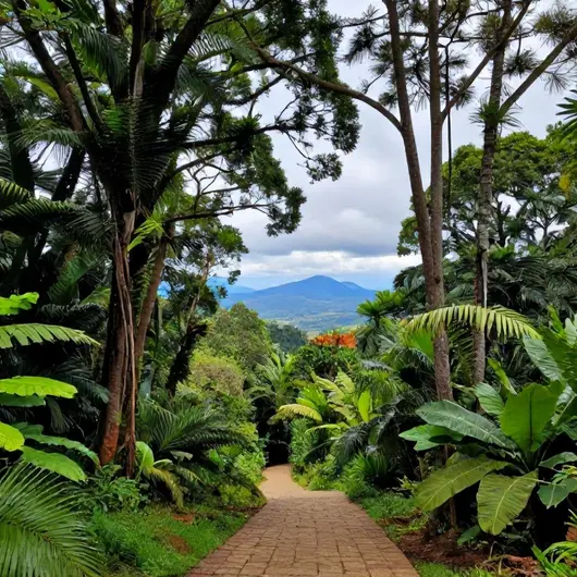 Explore o Parque Natural Municipal Morro do Macaco Explore o Parque Natural Municipal Morro do Macaco